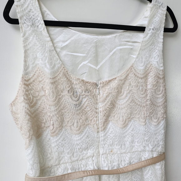White House Black Market Lace Fit and Flare Dress Cream Champagne Tan Size 14 - Picture 4 of 14